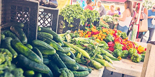 Farm Markets Farm Markets