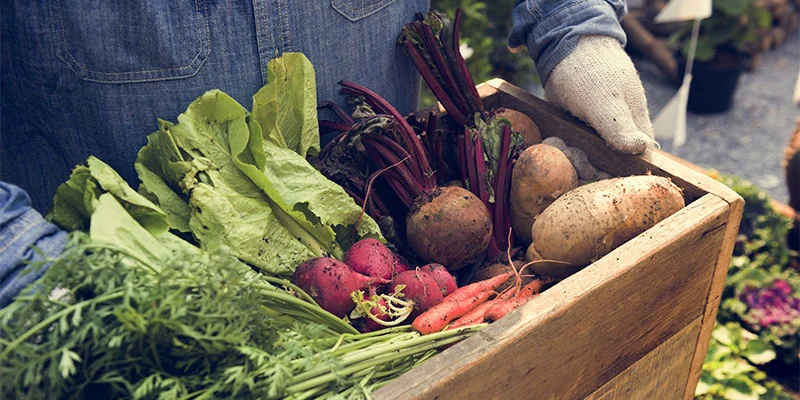 Box of Veggies Box of Veggies
